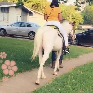 Meet your Posher, Taneisha